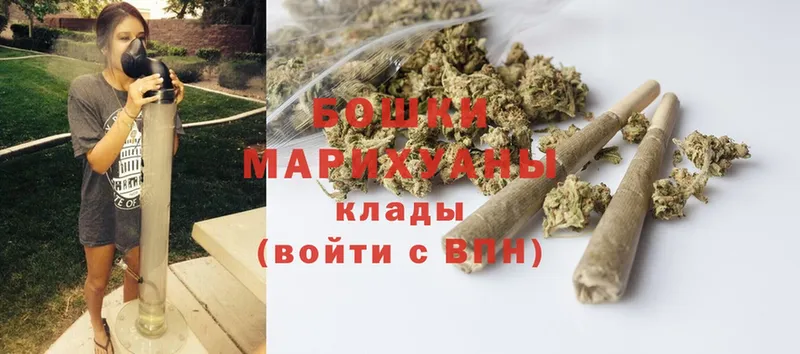 наркотики  Луховицы  Канабис White Widow 